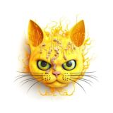 Нейрокот | Нейросети & IT