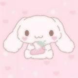 kittyshop