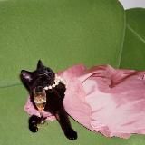 Aesthetically beautiful