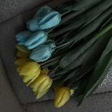 𝔗𝔢𝔱𝔱𝔶 ❤️🩹