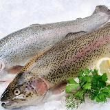 ФОРЕЛЬ АРМЕНИЯ и ДАЛЬНЕВОСТОЧНАЯ РЫБА И ИКРА