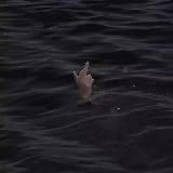 Эстетика души♪