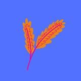 История ЦТ/ЦЭ