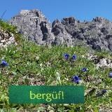 bergüf! 🏔🧵✂️