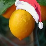 Lemonchik | Crypto | NFT
