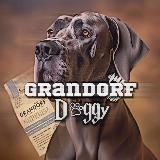 🪐 ˖ ࣪ 𝑩𝑹𝑰𝑻 𝑷𝑬𝑻𝑺 ‹ 𖥔 ࣪ ᥫ᭡