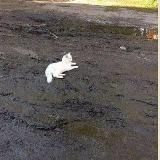 𝖡𝗅𝗎𝖾 𝖲𝗄𝗒.