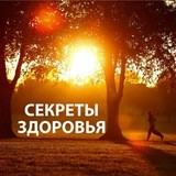 Секреты Здоровья