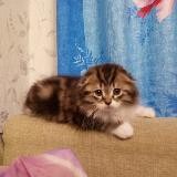 Выживаем как могЁм