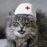 📚 MedMetod ✍️