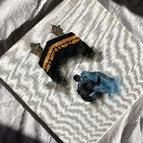 𝓢𝓮𝓻𝓭𝓬𝓮🫀