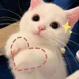 °♡Сэндвичная средней прожарки♡°