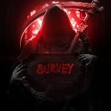 cybersecurity | survey