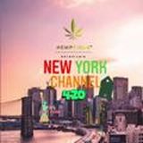 🌤New York Channel🌤