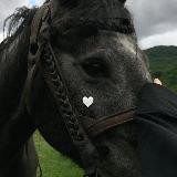 𝒆𝒎𝒎𝒂_𝒆𝒒𝒖 🌼🐴