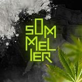 SOMMELIER 🌀 ПЕРЕХОДНИК