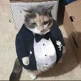 мемный гороскоп