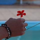 Ірина Блонська в Києві