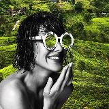 South Ceylon Rent 🏖️ аренда на Шри-Ланке с 2017г