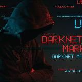 Dark Net 2.0