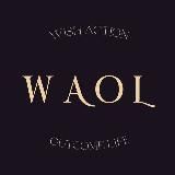 WAOL~канал твоего развития