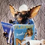 Pepsi’s girls🇺🇦