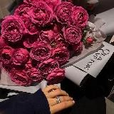 Обои на телефон🏞️