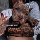 ⚜️𝐤𝐥𝐨𝐜𝐡𝐤𝐨𝐯𝐚_𝐦𝐮𝐳⚜️