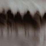 Брат Саляфит