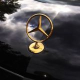 и весь париж как она