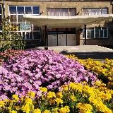 Алексеевский Дом культуры🎭