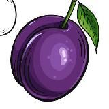 Сливи від єнота