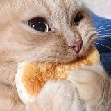 Пикчи для романтики