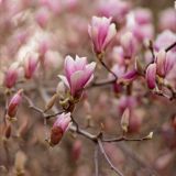 21 grams of Mary’s soul