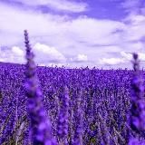 Fly to dream💕🤗