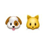 Волонтеры, Фонд «НИКА»