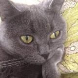 I lost my train of thought