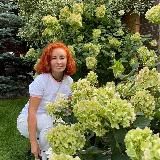 Садогород «Garden Lili»