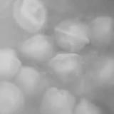 вая с проспекта