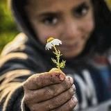 ᴅⁿᵉᵛⁿⁱᵏ