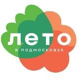 МОУ «Гимназия № 5 «Интеллект»