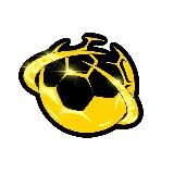 FOOT FIELD | VMW TEAM