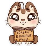 ⭐️Для менеджеров⭐️