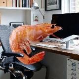 Выпрями спину