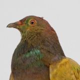 Институт прикладной бартологии