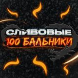Чат Сливовых 100 бальников