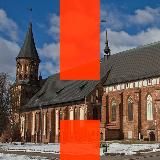 Навальный | Калининград