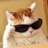 Весьма смешно, сэр!