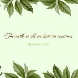 ☘️ЭКО ПРОДУКЦИЯ ☘️