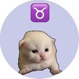 Телец